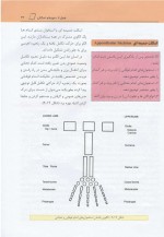 دانلود کتاب آناتومی عمومی علی والیانی 261 صفحه PDF 📘-1