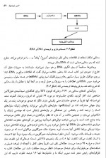 دانلود کتاب تکامل و رفتار انسان جان کارترایت 444 صفحه PDF 📘-1