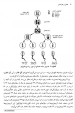 دانلود کتاب تکامل و رفتار انسان جان کارترایت 444 صفحه PDF 📘-1
