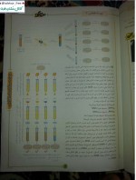دانلود کتاب زیست شناسی 3 پایه دوازدهم فردین جوادی 383 صفحه PDF 📘-1