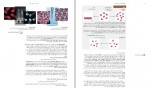 دانلود کتاب شیمی عمومی سیلبرگ 344 صفحه PDF 📘-1