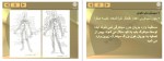 دانلود کتاب آناتومی انسانی علی اصغر رواسی 184 صفحه PDF 📘-1
