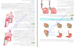 دانلود کتاب زیست شناسی 1 پایه دهم فردین جوادی 251 صفحه PDF 📘-1