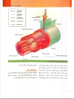 دانلود کتاب آناتومی گری جلد اول ریچارد درک 571 صفحه PDF 📘-1