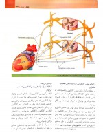 دانلود کتاب آناتومی گری جلد اول ریچارد درک 571 صفحه PDF 📘-1
