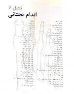 دانلود کتاب آناتومی گری جلد دوم ریچارد درک 321 صفحه PDF 📘-1