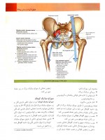 دانلود کتاب آناتومی گری جلد دوم ریچارد درک 321 صفحه PDF 📘-1