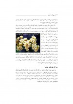 دانلود کتاب از مهبانگ تا انسان احمد مصدر 161 صفحه PDF 📘-1
