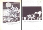 دانلود کتاب انسان و کیهان پرویز قوامی 168 صفحه PDF 📘-1