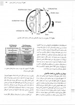 دانلود کتاب اپیدمیولوژی گوردیس پیمان سلامتی 454 صفحه PDF 📘-1