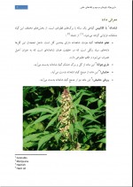 دانلود کتاب ماری جوانا آرش حسینیان 60 صفحه PDF 📘-1