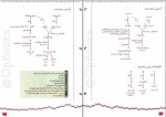 دانلود کتاب زیست شناسی 2 پایه یازدهم مجید علی نوری 256 صفحه PDF 📘-1