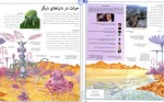 دانلود کتاب فرهنگ نامه نجوم و فضا هیثر کوپر پوریا ناظمی 325 صفحه PDF 📘-1