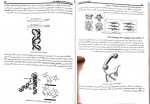 دانلود کتاب ژنتیک از کلاسیک تا ژنومیک حسن اکرمی 541 صفحه PDF 📘-1