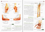 دانلود کتاب آناتومی عمومی ایمانه شمایلی یگانه 343 صفحه PDF 📘-1