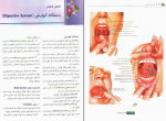 دانلود کتاب آناتومی عمومی ایمانه شمایلی یگانه 343 صفحه PDF 📘-1