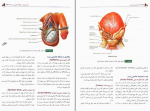 دانلود کتاب آناتومی عمومی ایمانه شمایلی یگانه 343 صفحه PDF 📘-1