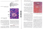 دانلود کتاب بافت شناسی جعفر سلیمانی راد ویراست ششم 195 صفحه PDF 📘-1