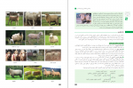 دانلود کتاب تولید و پرورش دام های سبک پایه دهم 184 صفحه PDF 📘-1