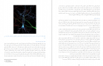 دانلود کتاب حقایق مغز عباس حق پرست 147 صفحه PDF 📘-1