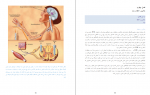 دانلود کتاب حقایق مغز عباس حق پرست 147 صفحه PDF 📘-1