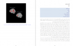 دانلود کتاب حقایق مغز عباس حق پرست 147 صفحه PDF 📘-1