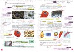 دانلود کتاب زیست شناسی دهم مجید علی نوری 168 صفحه PDF 📘-1