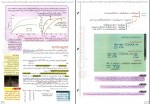 دانلود کتاب زیست شناسی 3 دوازدهم مجید علی نوری 245 صفحه PDF 📘-1