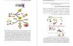 دانلود کتاب نتوزیس ایمنی پاتوژنز و درمان گیتا رای 168 صفحه PDF 📘-1