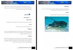 دانلود کتاب دنیای زیر آب سمانه معزی 190 صفحه PDF 📘-1