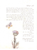 دانلود کتاب مورچه و فضا نورد میتیایف 18 صفحه PDF 📘-1