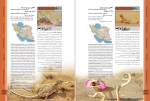 دانلود کتاب اطلس خزندگان ایران امید مظفری 364 صفحه PDF 📘-1