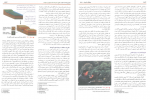 دانلود کتاب بیولوژی کمپبل جلد چهارم ریس 387 صفحه PDF 📘-1