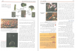 دانلود کتاب بیولوژی کمپبل جلد چهارم ریس 387 صفحه PDF 📘-1