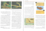 دانلود کتاب بیولوژی کمپبل جلد چهارم ریس 387 صفحه PDF 📘-1