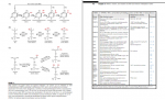 دانلود کتاب Epigenetic Cancer Therapy استیون گری 773 صفحه PDF 📘-1