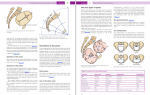 دانلود کتاب Myles Textbook for Midwives جین ای مارشال 799 صفحه PDF 📘-1