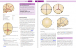 دانلود کتاب Myles Textbook for Midwives جین ای مارشال 799 صفحه PDF 📘-1