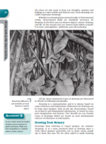 دانلود کتاب 12Sketching And Drawing Chapter 03 صفحه PDF 📘-1