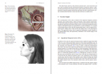 دانلود کتاب Brain Anatomy and Neurosurgical Approaches ابروال گادلها 594 صفحه PDF 📘-1