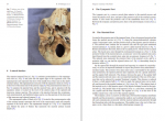 دانلود کتاب Brain Anatomy and Neurosurgical Approaches ابروال گادلها 594 صفحه PDF 📘-1