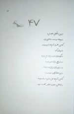 دانلود کتاب بدون بال پرواز کن نرگس صرافیان 234 صفحه PDF 📘-1
