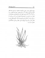 دانلود کتاب انشاء فارسی طهماسب محتشم 82 صفحه PDF 📘-1