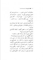 دانلود کتاب شکار پروانه ها علیرضا عطاران 134 صفحه PDF 📘-1