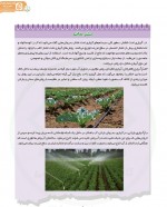 دانلود کتاب انسان و محیط زیست سازمان پژوهش و برنامه ریزی 136 صفحه PDF 📘-1