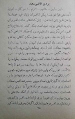 دانلود کتاب جاسوسه ای در برلین پرویز قاضی سعید 180 صفحه PDF 📘-1