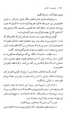 دانلود کتاب شلغم میوه بهشته علی محمد افغانی 170 صفحه PDF 📘-1