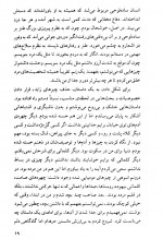 دانلود کتاب فضیلت های ناچیز محسن ابراهیم 134 صفحه PDF 📘-1