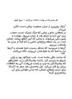 دانلود کتاب نفر بعدی که در بهشت ملاقات می کنید میچ آلبوم 353 صفحه PDF 📘-1