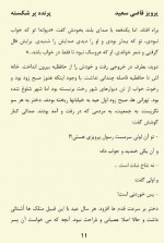 دانلود کتاب پرنده پر شکسته پرویز قاضی سعید 194 صفحه PDF 📘-1